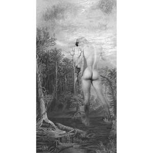 Naturae Nudus vail IV