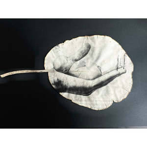 Libertas Eligendi Freedom To Choose Artist Prue Macdougall: Hand Full