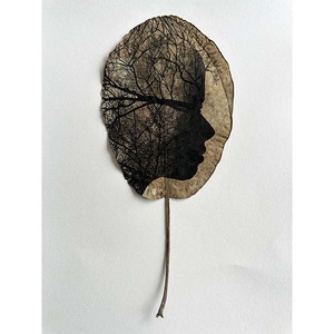 Woodland Sleeper