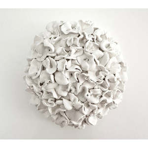 Fiona Cable: Petals