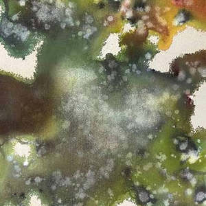 Paul Screach: Psithurism