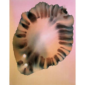 Paul Screach: Aureola