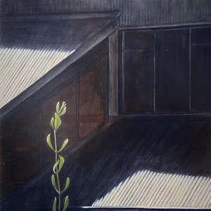 Threshold (Roof Recess)