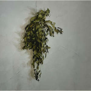 September: Bay Leaves