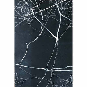 Maggie Mcgregor 1: Tree Marks 4