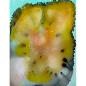 An Infinite Number Of Monkeys Paul Screach: Gemini