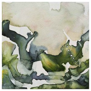 Sonja Drake: Porous