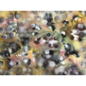 An Infinite Number Of Monkeys Paul Screach: Primordial