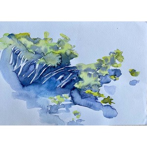 Sonja Drake: The Pond, study 1