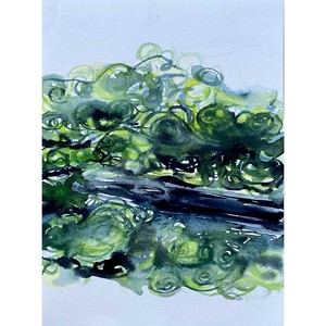 Sonja Drake: Spirogyra