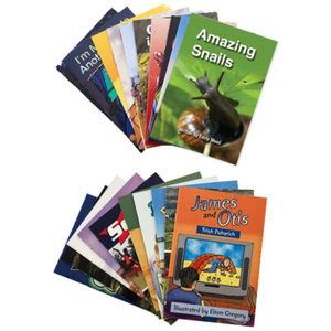 Roller Coaster Ride book by Michael Keith