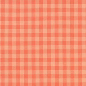 Kitchen Window Wovens: Nectarine Gingham Kitchen Window Woven - Elizabeth Hartman for Robert Kaufman Fabrics