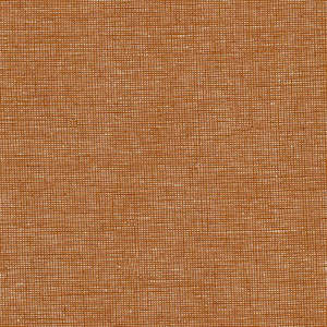 Everything Else That Isn T Solid: Roasted Pecan Essex Yarn Dyed Homespun Linen - Robert Kaufman