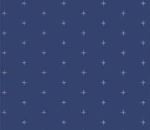 Everything Else That Isn T Solid: Starling Shining Stardusk Fat Quarter - Maureen Cracknell for Art Gallery Fabrics