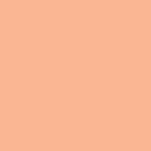 Suzy Quilts Signature Pure Solids Shrimpy PES-907 | Art Gallery Fabrics