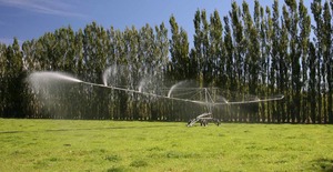 Products: Model 25 Rotary Boom