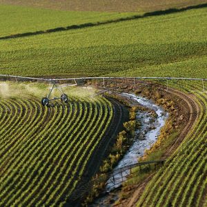 Products: Zimmatic Precision VRI™