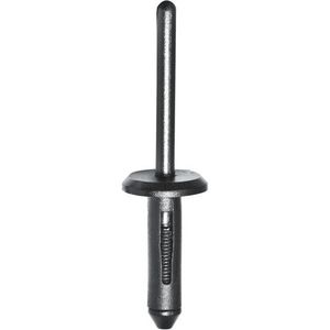 Nylon Blind Rivets