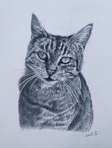 A3 Pencil Portraits (11" x 14" 28cm x 35cm)