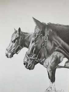 A4 Pencil Portraits (22.5cm x 30cm)