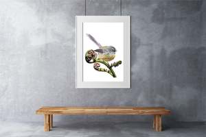 Fantail / Piwakawaka Print