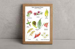 NZ Flora