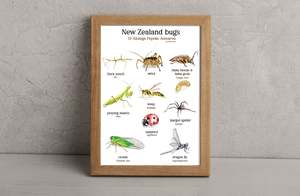 NZ bug print