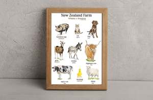 NZ farm Animals print 2