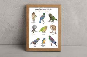 Prints: NZ Birds