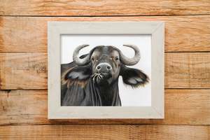Prints: Buffalo print
