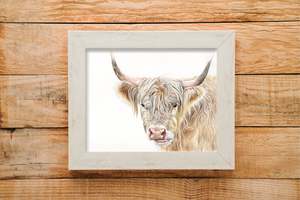 Prints: Highland cow print