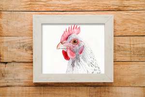 Prints: Chook print