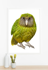 Prints: Kakapo Print