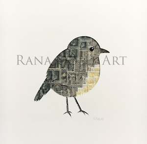 Gallery: South Island Robin