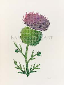 Gallery: Scottish Thistle