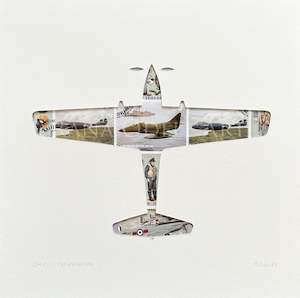 Warbirds Poppies: DHC-1 Chipmunk - NZ stamps, 8x8 inches