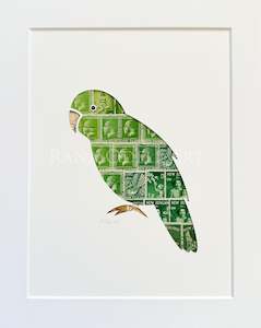 Birds: Kakapo, 8x10 inches (small with border)