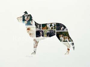 Farm Animals: Border Collie, 6x8 inches