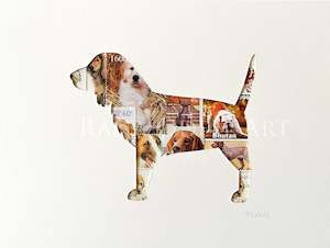 Cats Dogs: Springer Spaniel, 6x8 inches