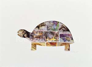 Other Animals: Turtle, 6x8 inches