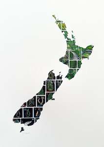 New Zealand Map, A3 Print