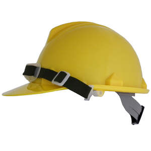 Blue Eagle Hard Hat
