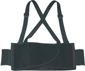 Accessories: Delta Plus Back Support belt