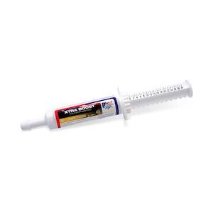 Supplements: Xtra Boost Paste - 30ml (3 x 10ml)