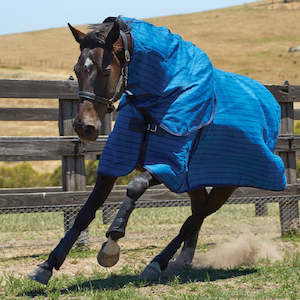 Summer: Unlined Canvas Combo Neck - Blue