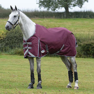 Winter Rugs Lite: ComFiTec Plus Dynamic ll Standard Neck Med/Lite - 100g