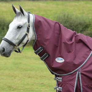 Winter Rugs Lite: ComFiTec Plus Dynamic ll Neck Rug Med/Lite - 100g