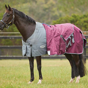 Winter Rugs Lite: ComFiTec Plus Dynamic Duo ll Combo Medium/Lite *Clearance*