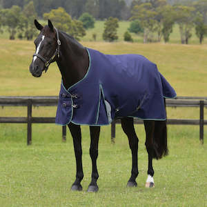Rugs: ComFiTec Plus Dynamic Turnout Standard Neck Navy/Forest Green - 100G