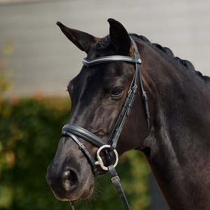 Crystal Flash Bridle - Black